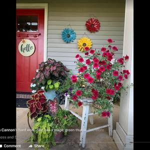 Meet your Posher, Toby